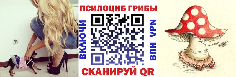 купить   Среднеуральск  Галлюциногенные грибы MAGIC MUSHROOMS 
